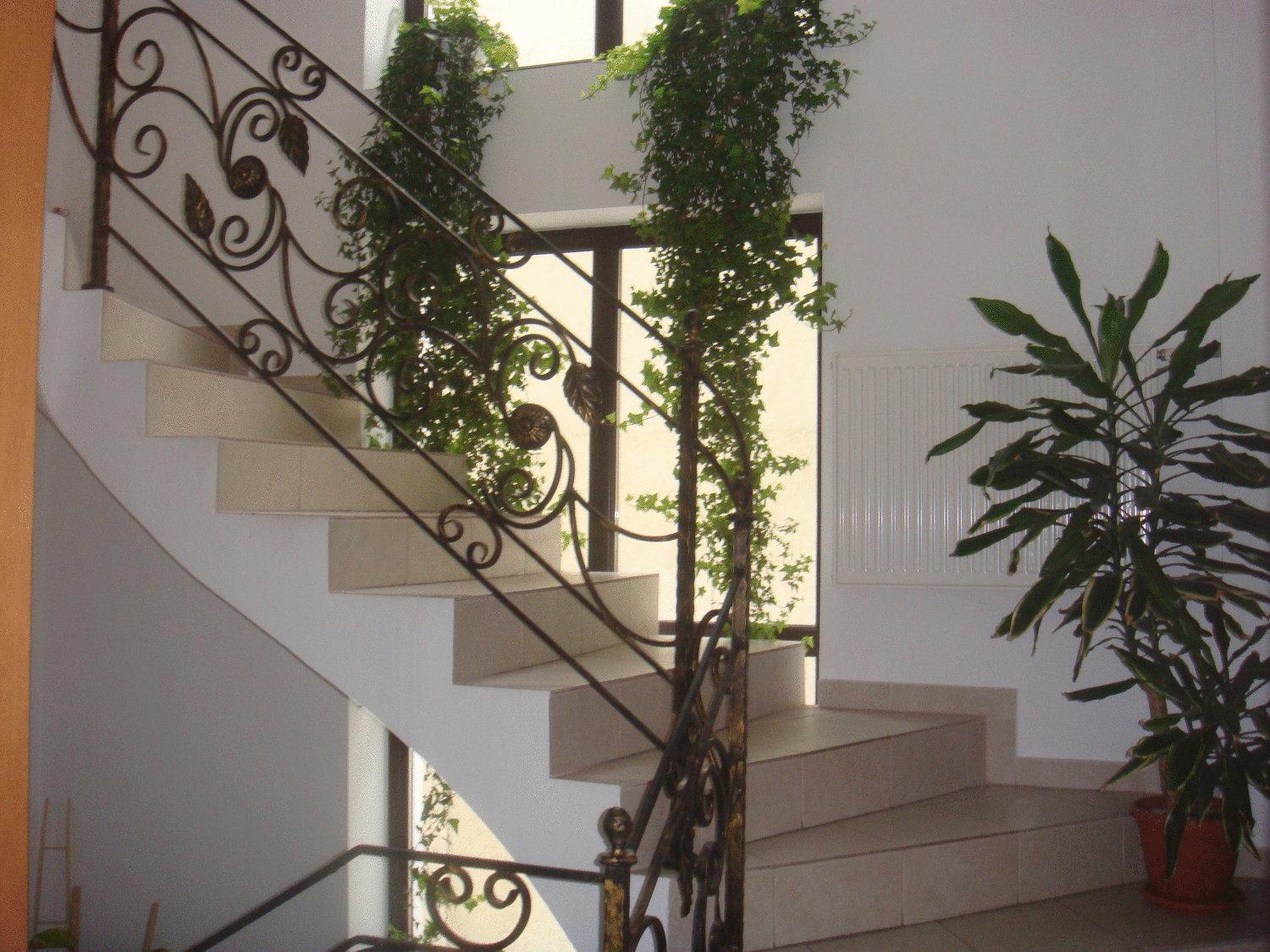 Villa Edera Residence - Gazda Profesionista Бухарест Экстерьер фото